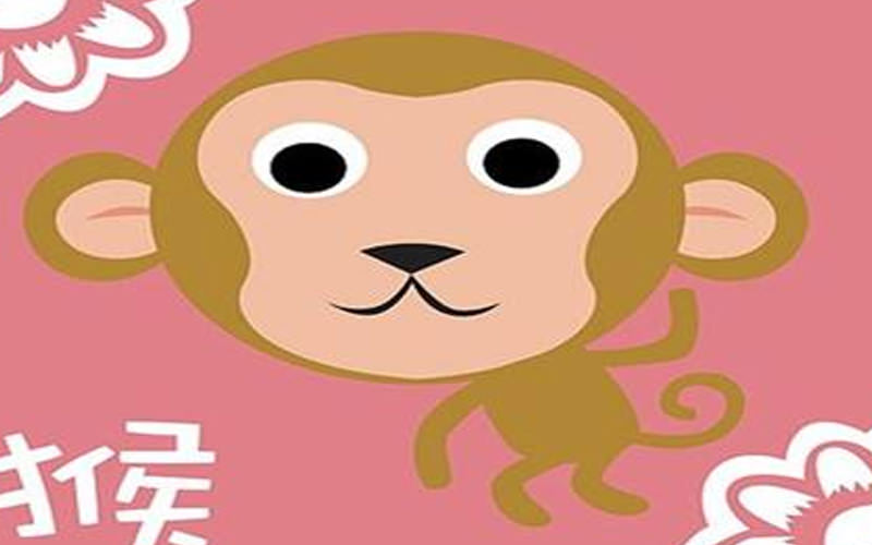海盐上海风水大师浅谈生肖猴的风水知识-
