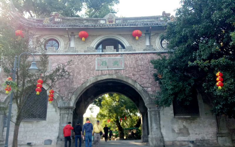 沈阳老板办公室植物摆放风水