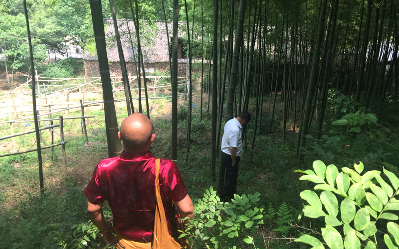 义乌宅基地看风水-