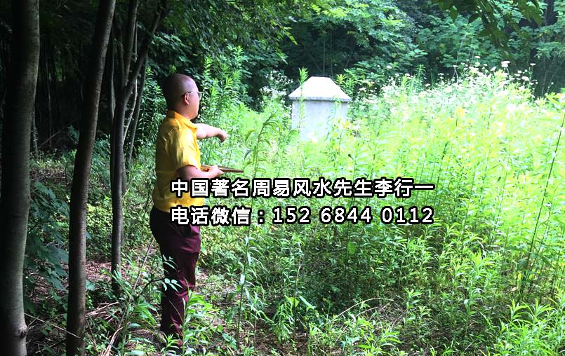 丽水深圳风水大师分享老板办公室摆放哪些风水物品财运好（深圳风水大师分享老板办公室摆放哪些风水物品财运好的风水讲究）
