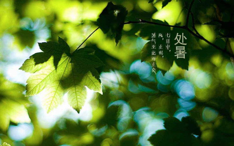 福州分享2019年处暑节气的讲究和禁忌-