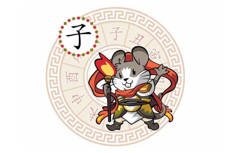上海企业财务室发财树摆放风水