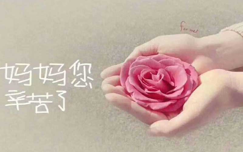 义乌办公室放什么植物风水运气好