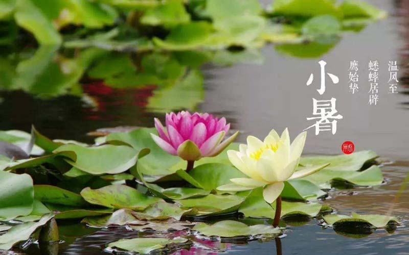 义乌深圳风水师分享2020年小暑节气后易经养生的讲究（2020年小暑节气后易经养生的讲究）-