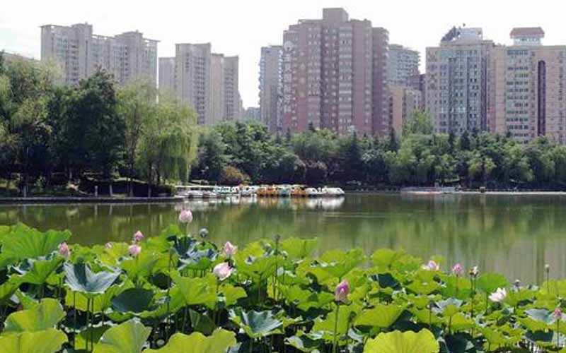 安庆大师从易经角度点评成都建筑环境风水格局（大师从易经角度点评成都建筑环境风水格局成都哪个楼盘好）