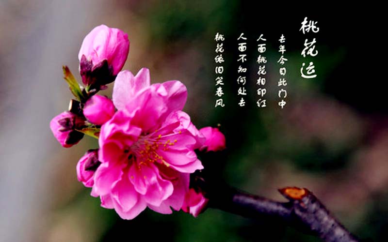 重庆风水大师分析东方明珠风水玄机
