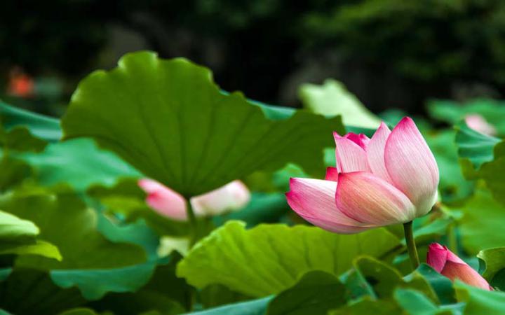 海盐城市建筑环境风水特色